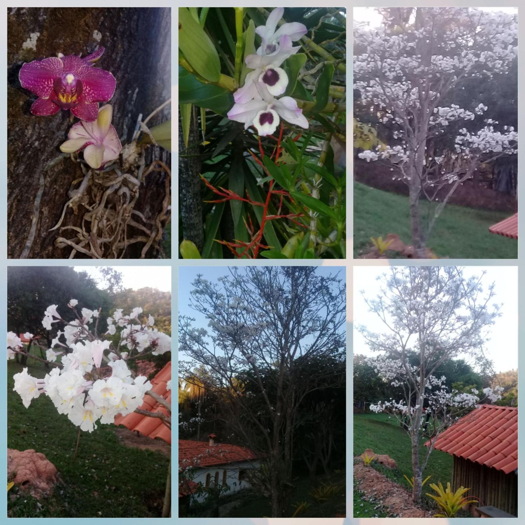 Pousada Rancho Flores Caeté Buitenkant foto