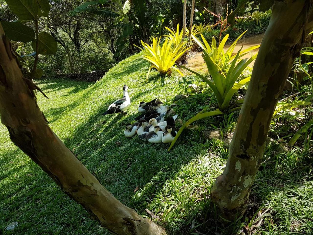 Pousada Rancho Flores Caeté Buitenkant foto