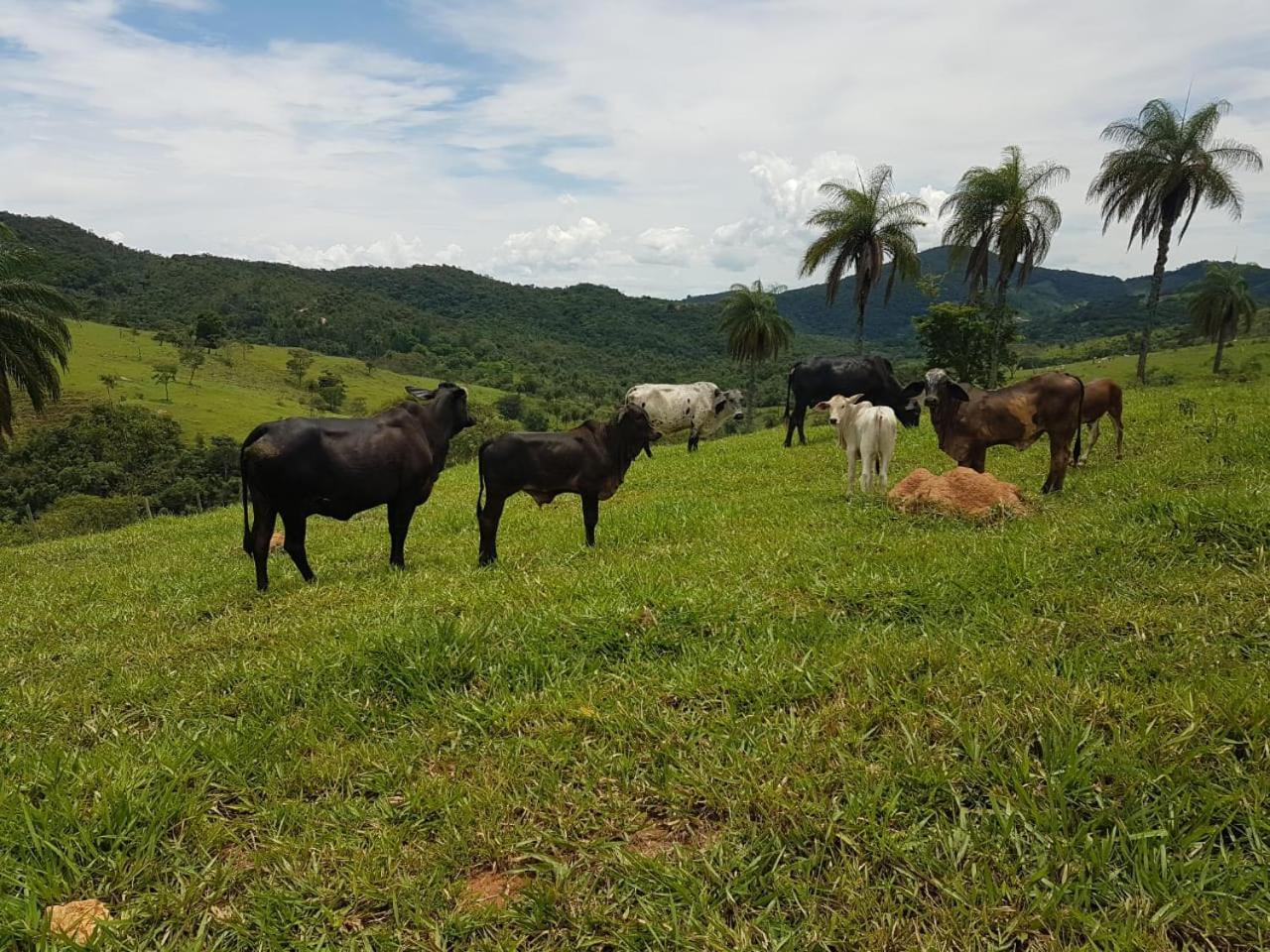 Pousada Rancho Flores Caeté Buitenkant foto